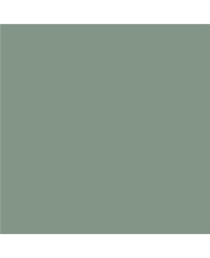 Color NCS  - S-4010-G10Y