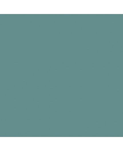 Color NCS  - S-4020-B50G