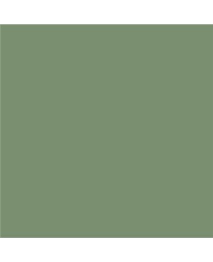 Color NCS  - S-4020-G30Y