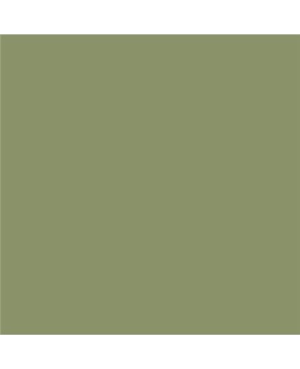 Color NCS  - S-4020-G50Y