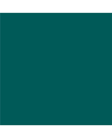 Color NCS  - S-5040-B60G