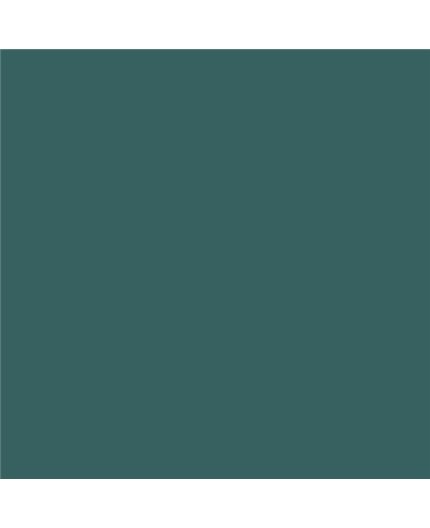 Color NCS  - S-6020-B50G