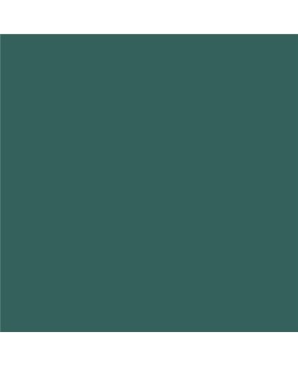 Color NCS  - S-6020-B70G