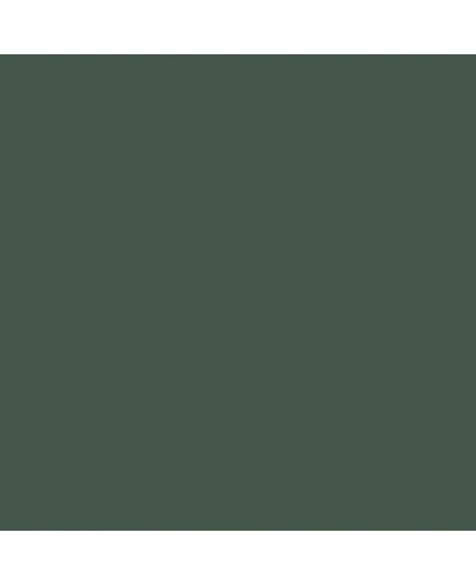 Color NCS  - S-7010-G10Y