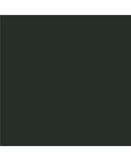 Color NCS  - S-8502-G