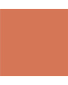 Color RAL - RAL-3022