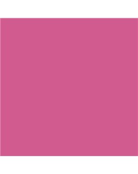 Color RAL - RAL-4003