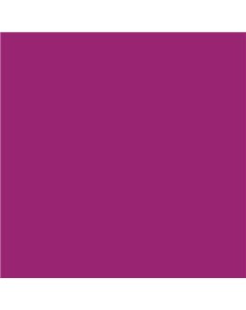 Color RAL - RAL-4006