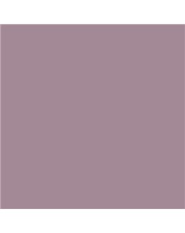 Color RAL - RAL-4009