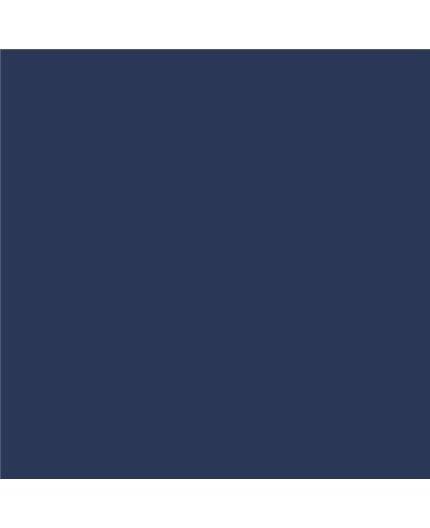 Color RAL - RAL-5003