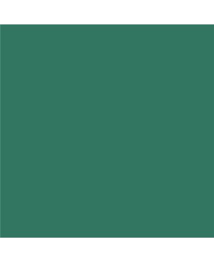 Color RAL - RAL-6000