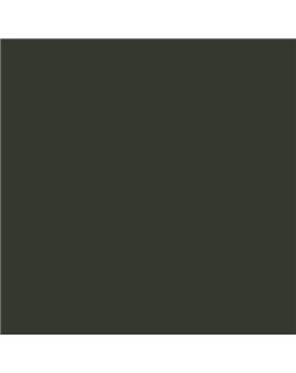 Color RAL - RAL-6008
