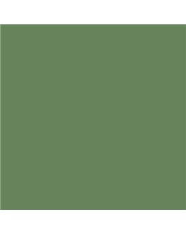 Color RAL - RAL-6011
