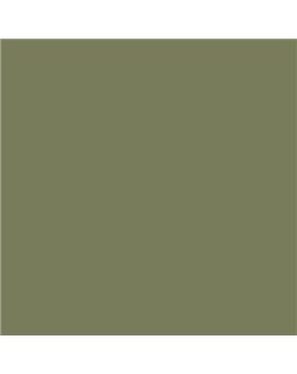 Color RAL - RAL-6013