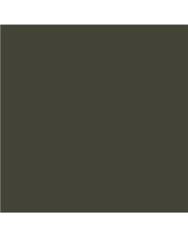 Color RAL - RAL-6014