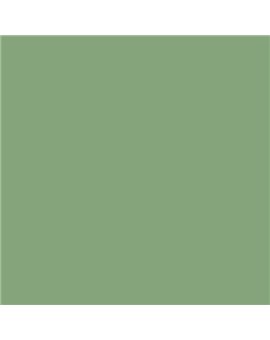Color RAL - RAL-6021