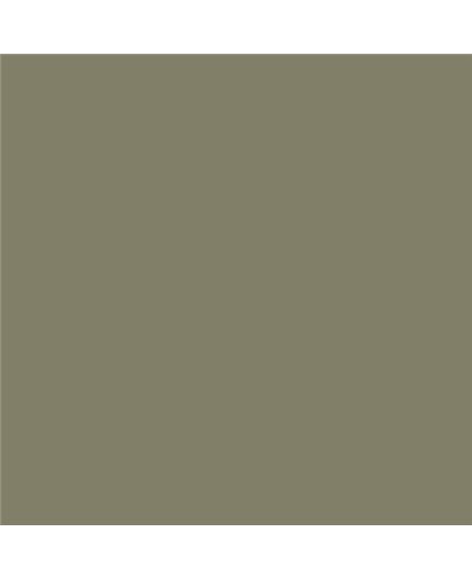 Color RAL - RAL-7002