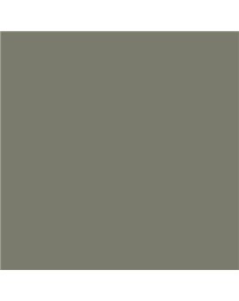 Color RAL - RAL-7003