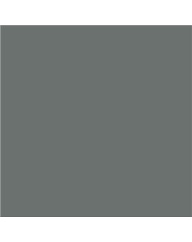 Color RAL - RAL-7005