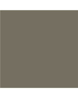 Color RAL - RAL-7006