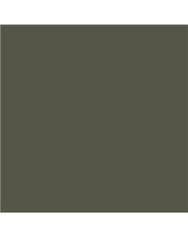 Color RAL - RAL-7013
