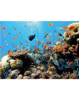 Murales Photomurals II Ref. M-4-005VE-L-1,52 X 1,04