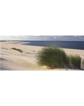 Murales Photomurals II Ref. M-655VE-P8-3,68 X 2,54