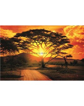 Murales Photomurals II Ref. M-400VE-M-1,04 X 0,7