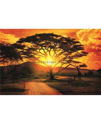 Murales Photomurals II Ref. M-400VE-L-1,52 X 1,04