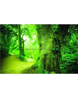 Murales Photomurals II Ref. M-290VE-L-1,52 X 1,04