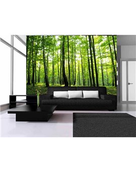 Murales Photomurals II Ref. M-186VE-XXXL-4,16 X 2,54