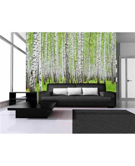 Murales Photomurals II Ref. M-157VE-P8-3,68 X 2,54