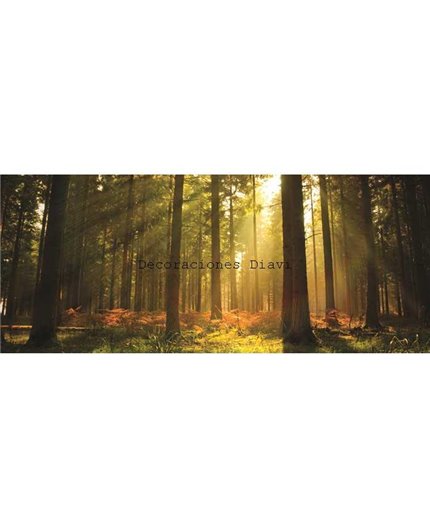 Murales Photomurals II Ref. M-576VE-MEDIDAS DISPONIBLES
