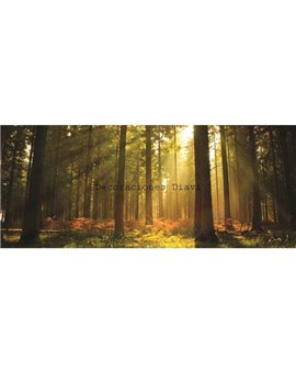 Murales Photomurals II Ref. M-576VE-L-1,52 X 1,04