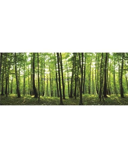Murales Photomurals II Ref. M-444VE-MEDIDAS DISPONIBLES