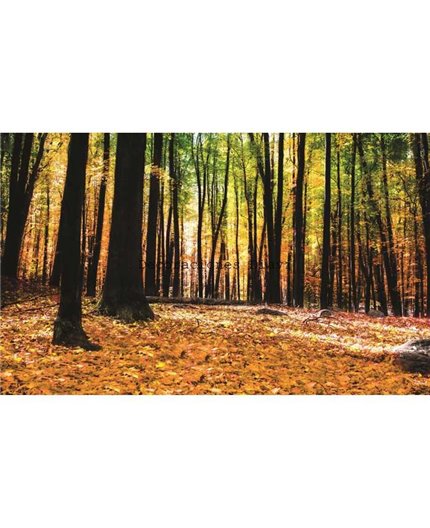 Murales Photomurals II Ref. M-1220VE-M-1,04 X 0,7