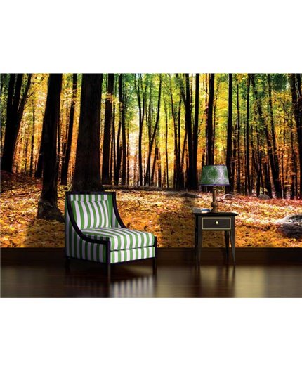 Murales Photomurals II Ref. M-1220VE-M-1,04 X 0,7