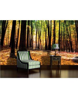 Murales Photomurals II Ref. M-1220VE-L-1,52 X 1,04