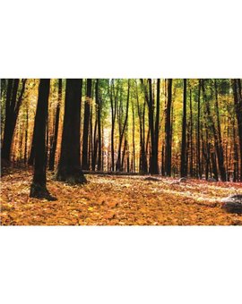 Murales Photomurals II Ref. M-1220VE-XL-2,08 X 1,46
