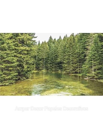 Murales Photomurals II Ref. M-1917VE-MEDIDAS DISPONIBLES