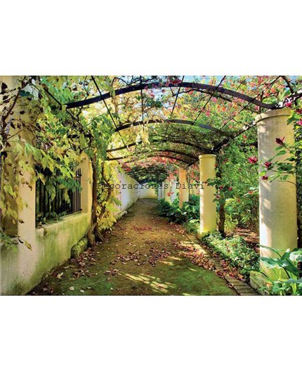 Murales Photomurals II Ref. M-136VE-L-1,52 X 1,04