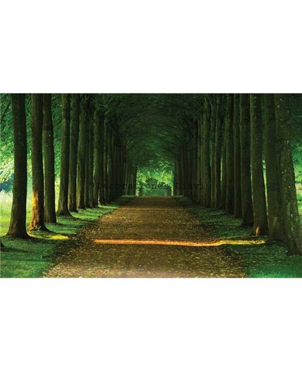 Murales Photomurals II Ref. M-2285VE-MEDIDAS DISPONIBLES