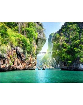 Murales Photomurals II Ref. M-137VE-XXXL-4,16 X 2,54