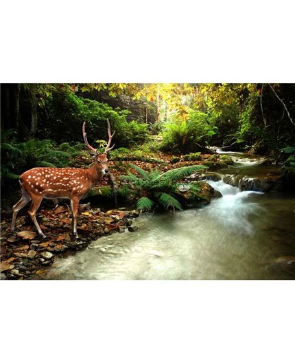 Murales Photomurals II Ref. M-147VE-M-1,04 X 0,7