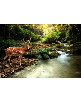 Murales Photomurals II Ref. M-147VE-XXL-3,12 X 2,19
