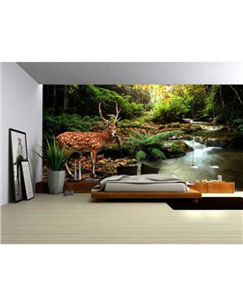 Murales Photomurals II Ref. M-147VE-XXXL-4,16 X 2,54