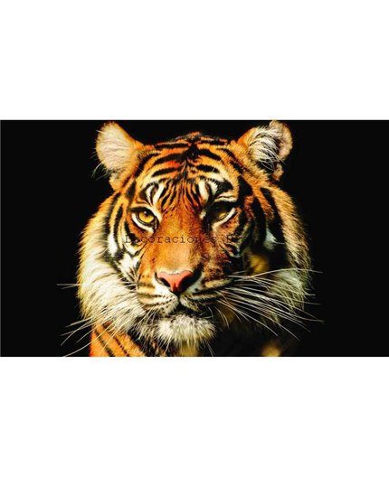 Murales Photomurals II Ref. M-1964VE-MEDIDAS DISPONIBLES