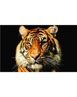 Murales Photomurals II Ref. M-1964VE-L-1,52 X 1,04