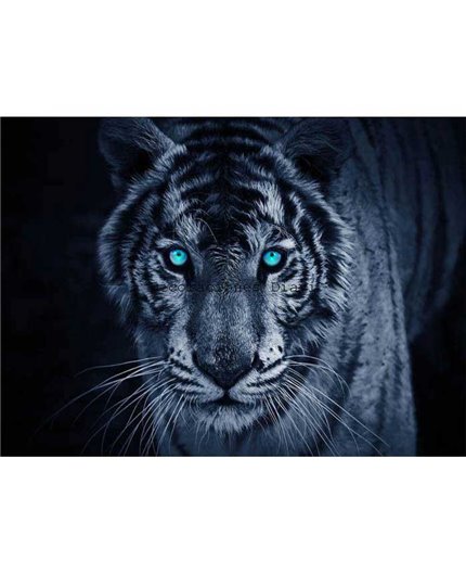 Murales Photomurals II Ref. M-153VE-MEDIDAS DISPONIBLES