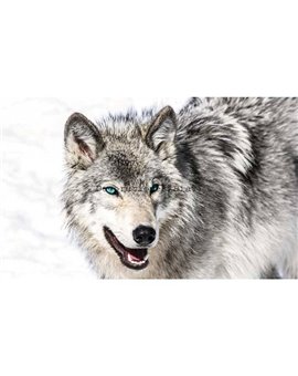 Murales Photomurals II Ref. M-2940VE-XXL-3,12 X 2,19